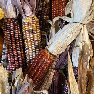 a pile of dried corn