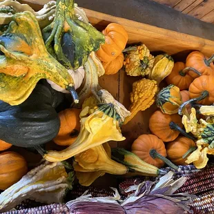a display of squash and gourds