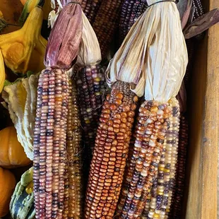 corn and squash in a wooden box