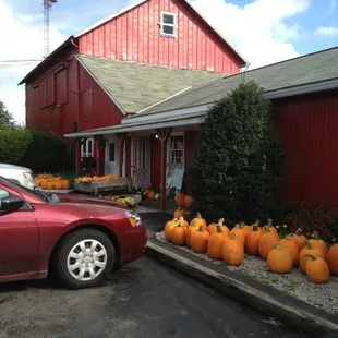 Autumn is here with lovely pumpkins and apples.