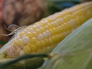 Decaro Produce