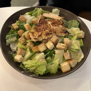 Grilled Chicken Caesar Salad