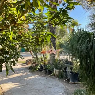 Our beautiful office view