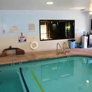 Indoor location on Prince - HEATED Pool