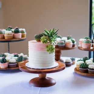 JW Photography 520-730-8697 www.jwphotographytucson.com