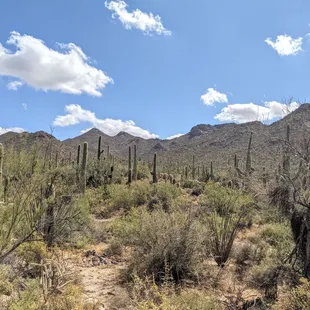 Valley View Overlook Trail | Instagram: @telephonesmoothie