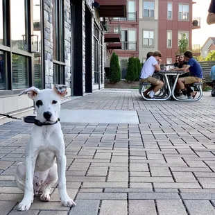 Sahale Ale Works patio