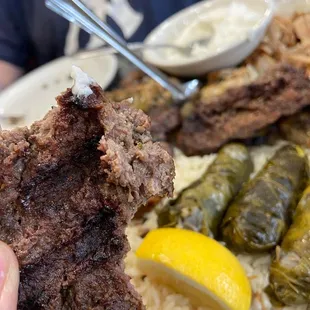 a hand holding a piece of meat