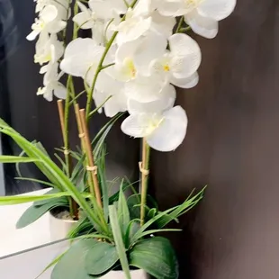 Bathroom decor