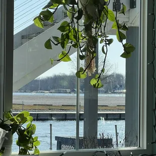 a view of a river and bridge through a window