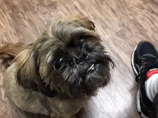 Riverbrook Animal Hospital