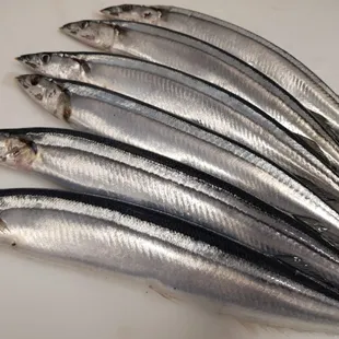 Sanma(Pike mackerel) from Hokkaido, Japan