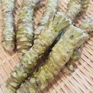 Fresh Wasabi