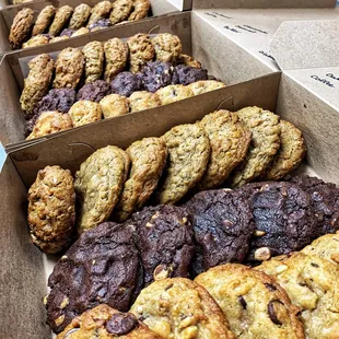Freshly Baked Cookies