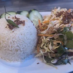 Chicken Rice Plate