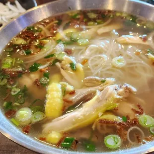 Chicken Noodle Soup