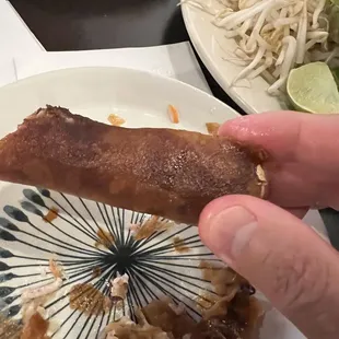 Fried Pork Egg Roll