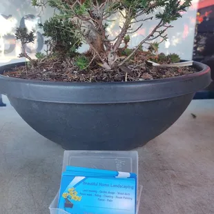 Landscaping services.