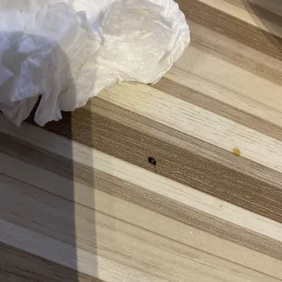 baby roach on the table.