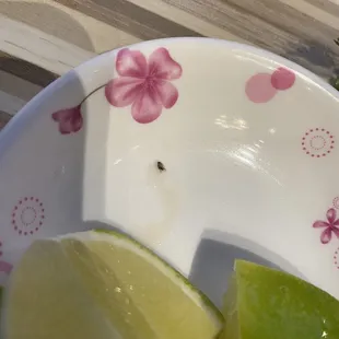 baby roach from my pho bowl.