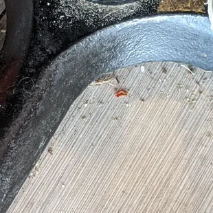 Floor