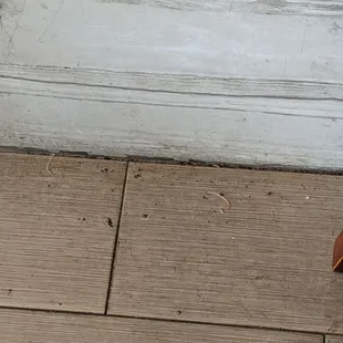 a cat sitting on the floor next to a door