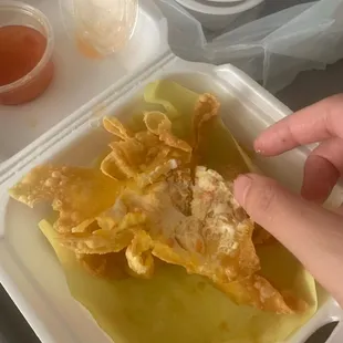 6 Crab Wonton