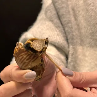 Escargot