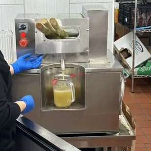 Squeezing fresh sugar cane