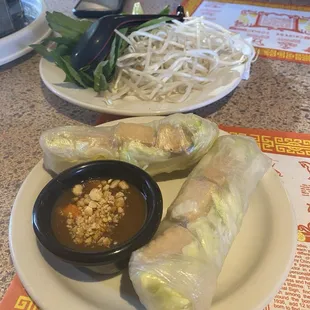 Vegetarian/vegan spring rolls with peanut sauce