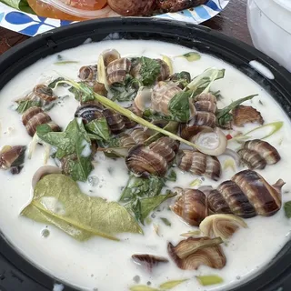 Top Snail with Coconut Juice