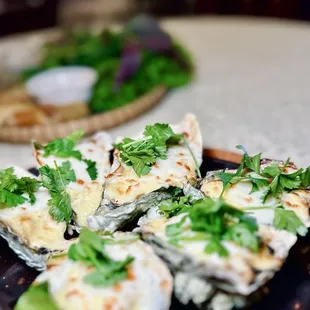 oysters, food, shellfish, oysters and mussels, mussels