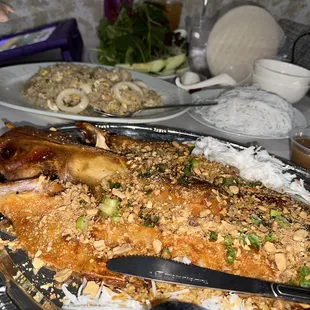 Baked Catfish &amp; Spring Rolls