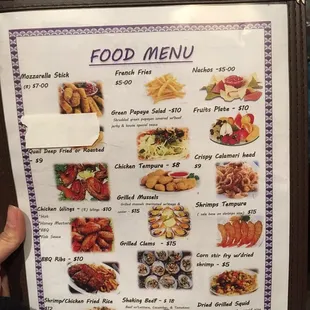 Food menu...don't get it twisted EVERYTHING is fried except for the fruit plate and the Shaking beef (which they were out of).