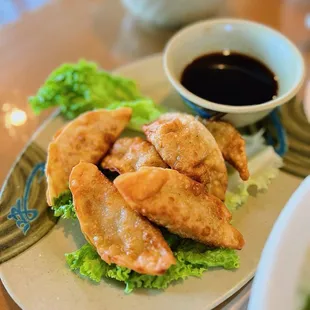 mussels, food, oysters and mussels, oysters, shellfish