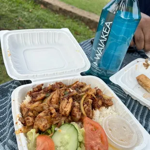 Garlic Chicken lunch plate