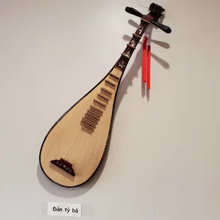 stringed instrument on the wall