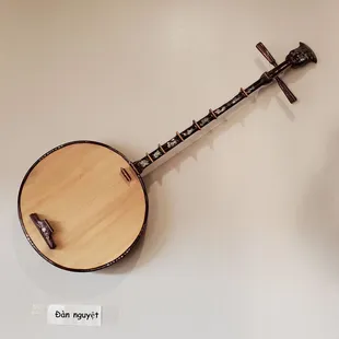 stringed instrument on the wall