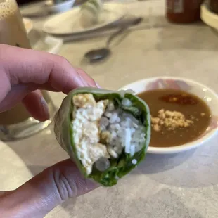 Vegetarian Tofu and Vegetables Spring Rolls