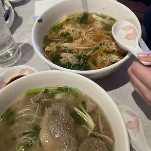 Chicken noodle soup (Right), Special beef soup (Left)