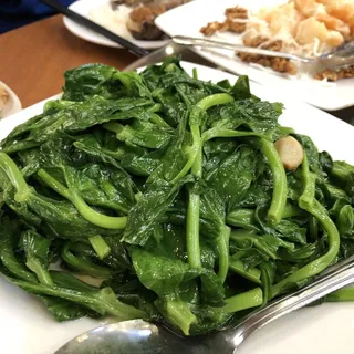 407. Stir Fried Pea Sprout with Garlic