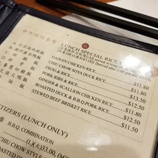 Roasted Duck and BBQ Pork Rice Dinner