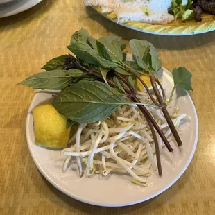 Side veggies that come with the pho. Includes: Thai basil, bean sprouts, lemons