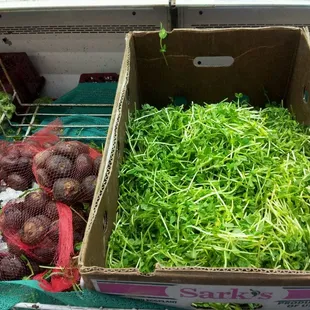 Peas sprouts, water chestnuts