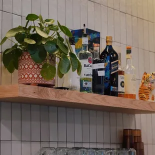 a shelf full of liquor bottles and glasses