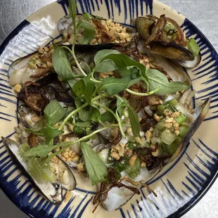 oysters and mussels, food