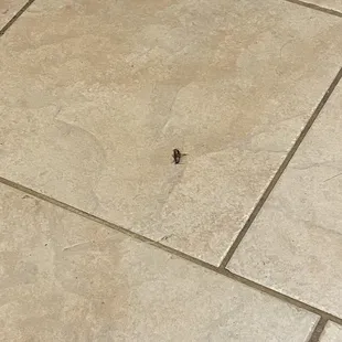 He was still kickin
