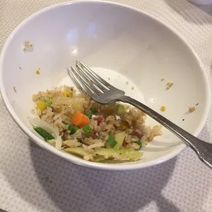 Ate all the fried rice!