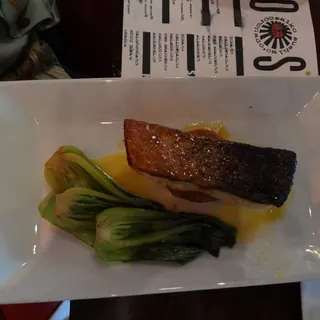 Salmon