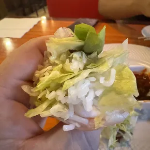 Fresh Rolls
